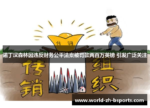 诺丁汉森林因违反财务公平法案被罚款两百万英镑 引发广泛关注 诺丁汉森林因违反财务公平法案被罚款两百万英镑 引发广泛关注