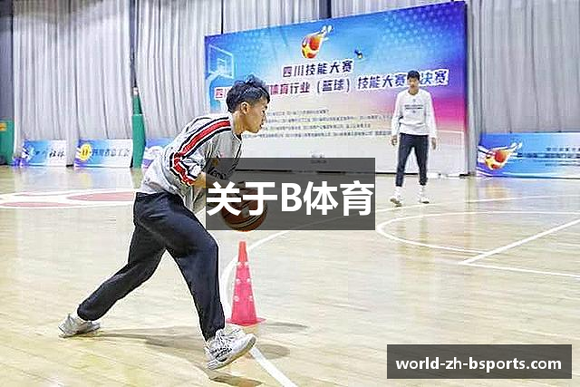 关于B体育
